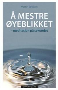 Å mestre øyeblikket; meditasjon på sekundet