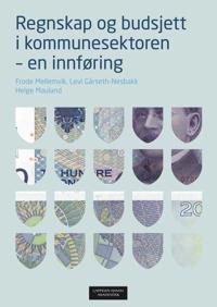 Regnskap og budsjett i kommunesektoren; en innføring