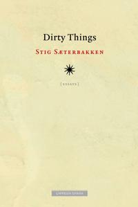 Dirty things; essays