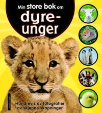 Min store bok om dyreunger