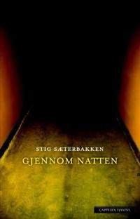 Gjennom natten; roman