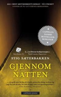 Gjennom natten; roman