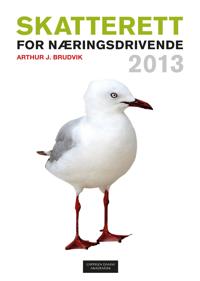 Skatterett for næringsdrivende 2013