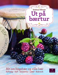 Ut på bærtur; alt om hagebær og ville bær