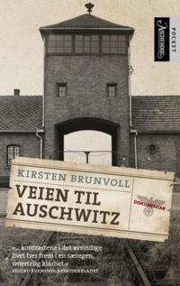 Veien til Auschwitz