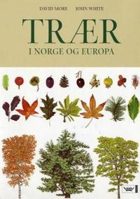 Trær i Norge og Europa