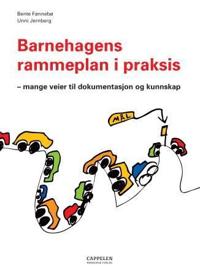 Barnehagens rammeplan i praksis; mange veier til dokumentasjon og kunnskap