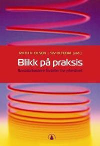 Blikk på praksis; sosialarbeidere forteller fra yrkeslivet