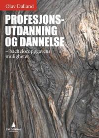 Profesjonsutdanning og dannelse