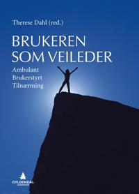 Brukeren som veileder; ambulant brukerstyrt tilnærming