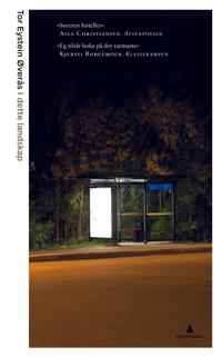 I dette landskap; artikler og essays