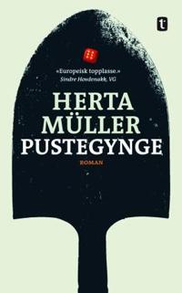 Pustegynge; roman