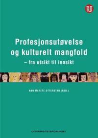 Profesjonsutøvelse og kulturelt mangfold; fra utsikt til innsikt