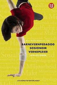 Barnevernpedagog, sosionom, vernepleier; utvalgte temaer