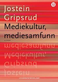 Mediekultur, mediesamfunn