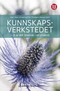 Kunnskapsverkstedet; å se det levende i en praksis