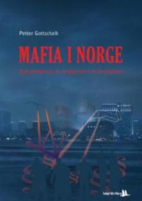 Mafia i Norge; bekjempelse av organisert kriminalitet