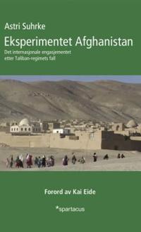 Eksperimentet Afghanistan; det internasjonale engasjementet etter Taliban-regimets fall