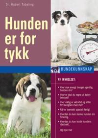 Hunden er for tykk; slik blir den slank, slik kommer den i form