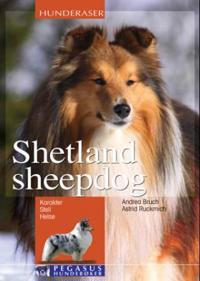 Shetland sheepdog; karakter, stell, helse