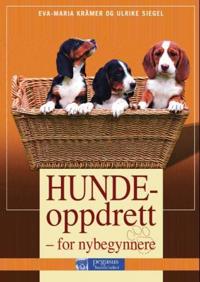 Hundeoppdrett; for nybegynnere