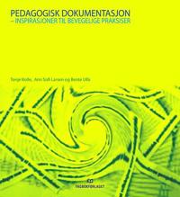 Pedagogisk dokumentasjon; inspirasjoner til bevegelige praksiser
