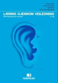 Læring gjennom veiledning; meningsskaping i grupper