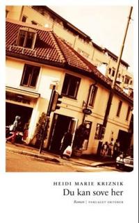 Du kan sove her; roman