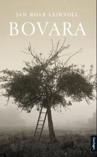 Bovara; roman