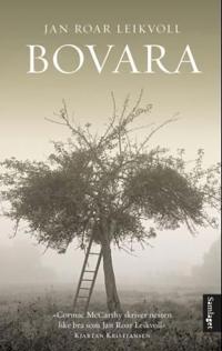 Bovara; roman