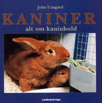 Kaniner; alt om kaninhold