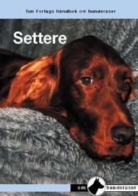 Settere; en håndbok for kjøp, stell, fôring, oppdragelse, trening, prøver, jakt, helse, oppdrett og utstilling