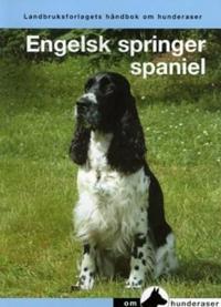 Engelsk springer spaniel; en håndbok for kjøp, stell, fôring, oppdragelse, trening, prøver, sysselsetting, helse, oppdrett og utstilling