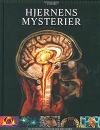 Hjernens mysterier