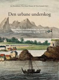 Den urbane underskog; strandsteder, utvekslingssteder og småbyer i vikingtid, middelalder og tidlig nytid