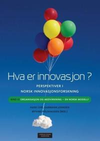 Hva er innovasjon?; perspektiver i norsk innovasjonsforskning