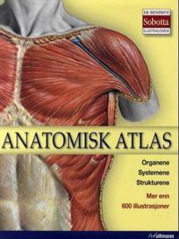 Anatomisk atlas