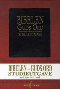 Bibelen; Guds ord
