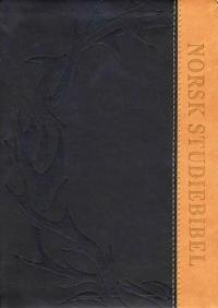 Norsk studiebibel; med forklaringer og kommentarer
