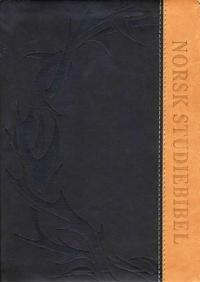 Norsk studiebibel; med forklaringer og kommentarer