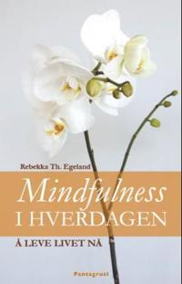 Mindfulness i hverdagen; å leve livet nå