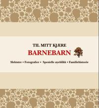 Til mitt kjære barnebarn