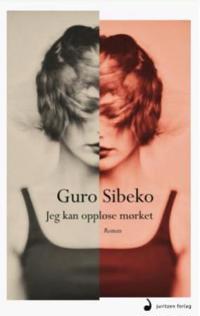 Jeg kan oppløse mørket; roman