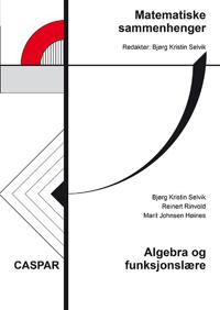 Matematiske sammenhenger; algebra og funksjonslære