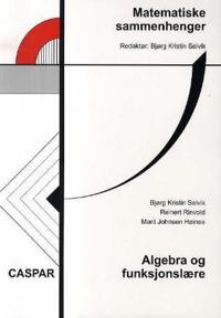 Matematiske sammenhenger; algebra og funksjonslære