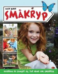 Småkryp; hvordan du fanger og tar hånd om småkryp