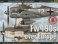 FW 190s Over Europe