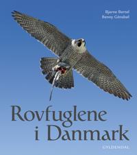 Rovfuglene i Danmark
