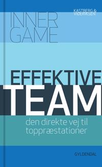 Effektive team