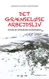 Det grænseløse arbejdsliv